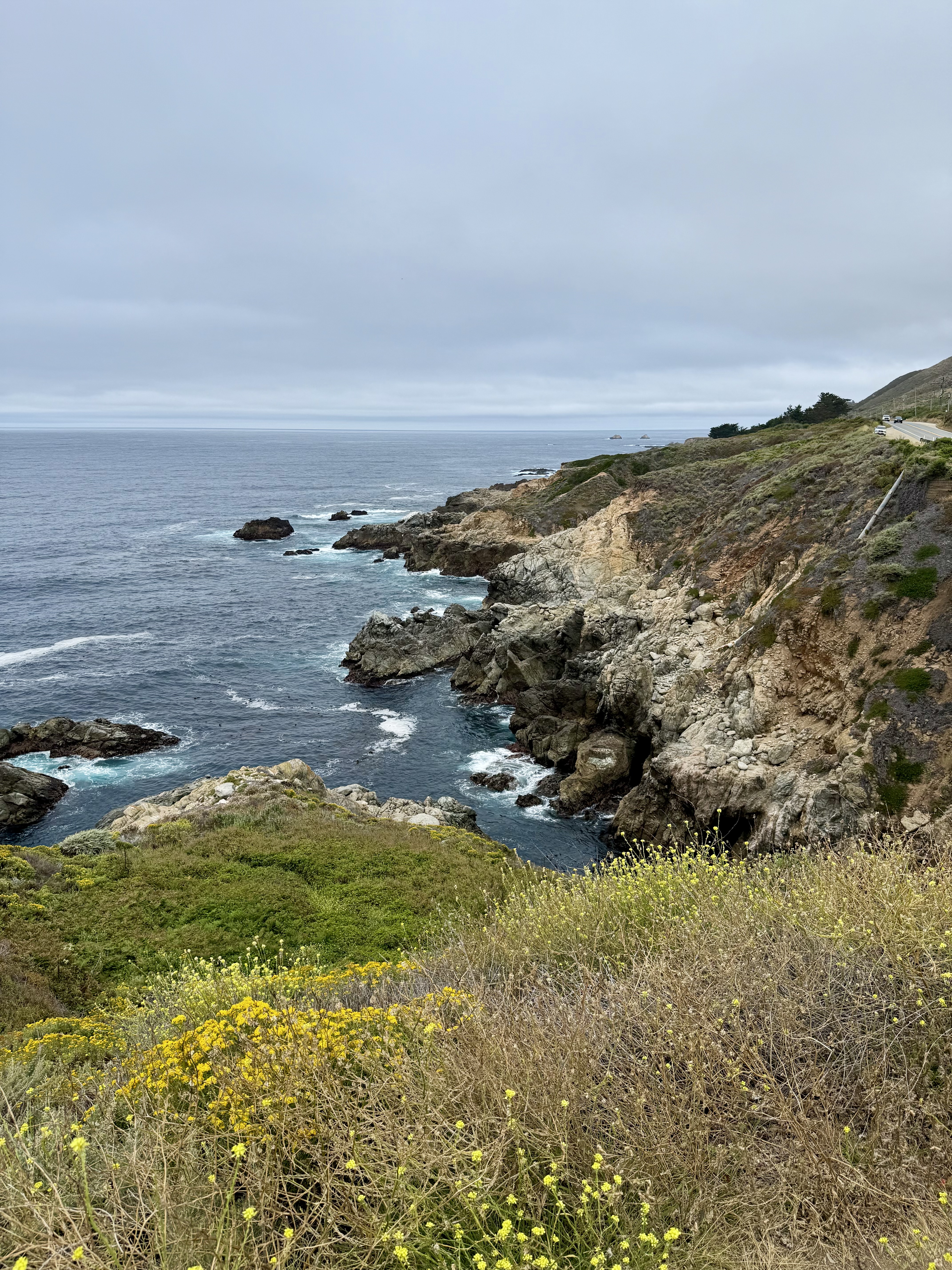 Garrapata State Beach