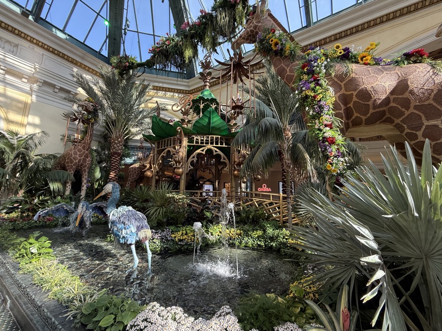 Photograph of The summer display at the Botanical Gardens in Bellagio, Las Vegas, Nevada — landmark, July 21, 2026